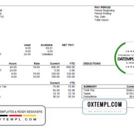 editable template, # enough good pay stub template in Word and PDF format