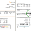 editable template, # nice likes pay stub template in Word and PDF format