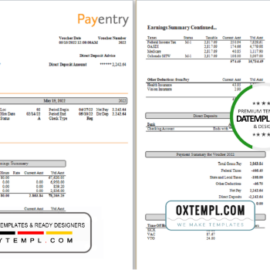 editable template, # nice likes pay stub template in Word and PDF format