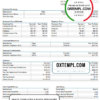 editable template, USA California business providing company earnings statement template in Word and PDF format