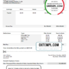 editable template, # nice job pay stub template in Word and PDF format