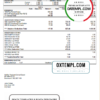 editable template, # bale out pay stub template in Word and PDF format