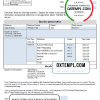editable template, # good liker pay stub template in Word and PDF format