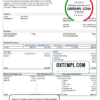 editable template, # over cutely pay stub template in Word and PDF format