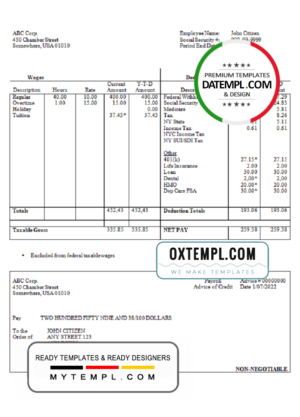 # neat desk pay stub template in Word and PDF format