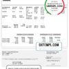 editable template, # true market pay stub template in Word and PDF format