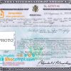 editable template, USA Citizenship certificate template in PSD format
