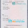 editable template, USA Florida state marriage certificate template in PSD format