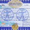 editable template, USA Washington state marriage certificate template in PSD format