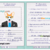 FREE editable template, Afghanistan dog (animal, pet) passport PSD template, fully editable