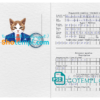 FREE editable template, Belarus cat (animal, pet) passport template in PSD, fully editable