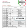 editable template, Bhutan Druk PNB bank statement template in Excel and PDF format (autosum)
