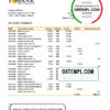 editable template, Bhutan T Bank Statement template in Excel and PDF format