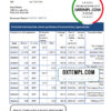 editable template, Botswana Bank ABC bank statement template in Excel and PDF format