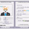 FREE editable template, Botswana dog (animal, pet) passport PSD template, fully editable