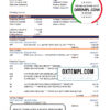 editable template, Botswana Savings bank statement template in Excel and PDF format