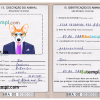 FREE editable template, Brazil dog (animal, pet) passport PSD template, completely editable