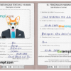 FREE editable template, Brunei dog (animal, pet) passport PSD template, completely editable