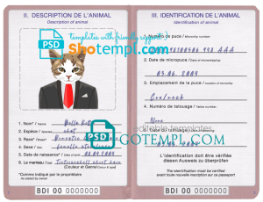 FREE editable template, Burundi cat (animal, pet) passport PSD template, fully editable