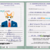 FREE editable template, Cameroon dog (animal, pet) passport PSD template, fully editable