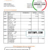 editable template, Central African Republic Banque Populaire Maroco Centrafricaine bank statement Excel and PDF template, fully editable (AutoSum)