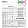 editable template, Chad Ecobank bank statement Excel and PDF template, completely editable (AutoSum)