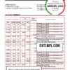 editable template, Congo Credit du Congo bank statement Excel and PDF template (AutoSum)