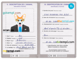 FREE editable template, Côte d'Ivoire dog (animal, pet) passport PSD template, fully editable