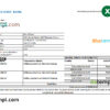 editable template, Cyprus Hellenic bank statement Excel and PDF template