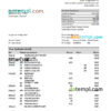 editable template, Denmark Sydbank statement Excel and PDF template