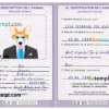 FREE editable template, Djibouti dog (animal, pet) passport PSD template, completely editable