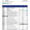 editable template, Djibouti Exim bank statement Excel and PDF template