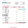 editable template, Dominica Barnett Capital Bank statement Excel and PDF template