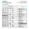editable template, Dominican Republic Bid bank statement Excel and PDF template
