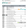 editable template, Eritrea Central bank statement Excel and PDF template