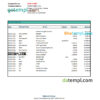 editable template, Estonia Bigbank bank statement Excel and PDF template