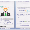 FREE editable template, Estonia dog (animal, pet) passport PSD template, fully editable