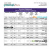 editable template, Ethiopia Awash Bank statement Excel and PDF template