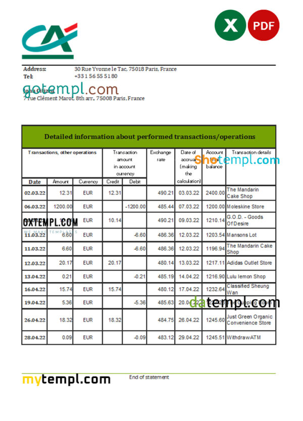 editable template, France Credite Agricole Bank statement Excel and PDF template