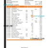 editable template, Georgia Bank of Georgia statement Excel and PDF template