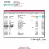 editable template, Georgia Basis Bank statement Excel and PDF template