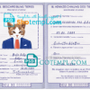 FREE editable template, Germany cat (animal, pet) passport PSD template, completely editable