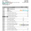 editable template, Germany Commerzbank statement Excel and PDF template