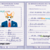 FREE editable template, Germany dog (animal, pet) passport PSD template, fully editable