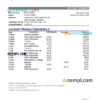 editable template, Grenada Republic bank statement Excel and PDF template