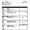 editable template, Guinea Access bank statement Excel and PDF template