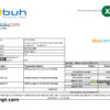 editable template, Haiti BUH bank statement Excel and PDF template