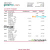 editable template, Hawaii National Bank statement Excel and PDF template