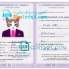 FREE editable template, Holy See cat (animal, pet) passport PSD template, completely editable
