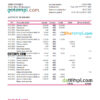 editable template, Hong Kong DAH Sing bank statement Excel and PDF template